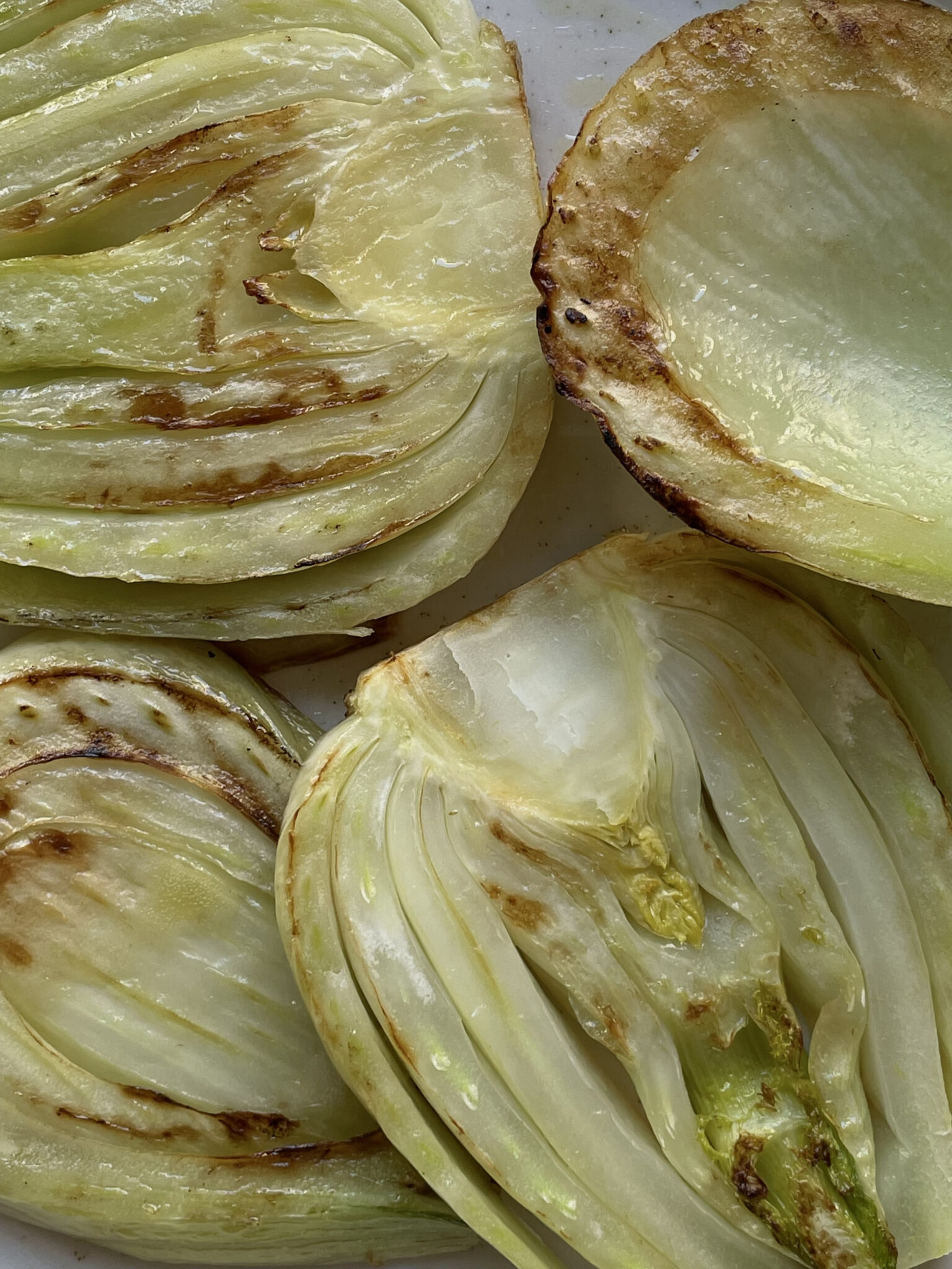 fennel w citrus dressing 2