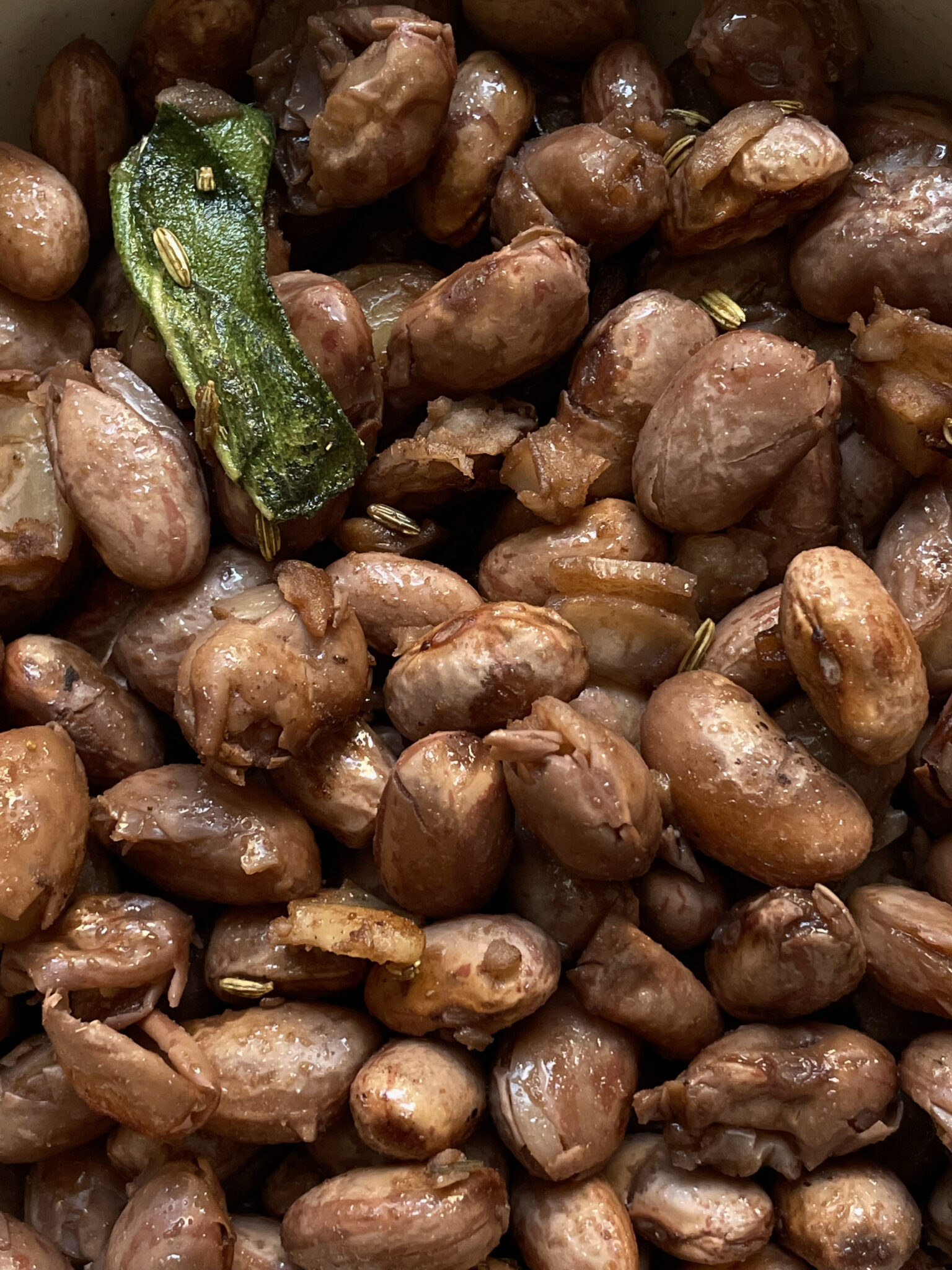 radicchio, beans, walnuts 2